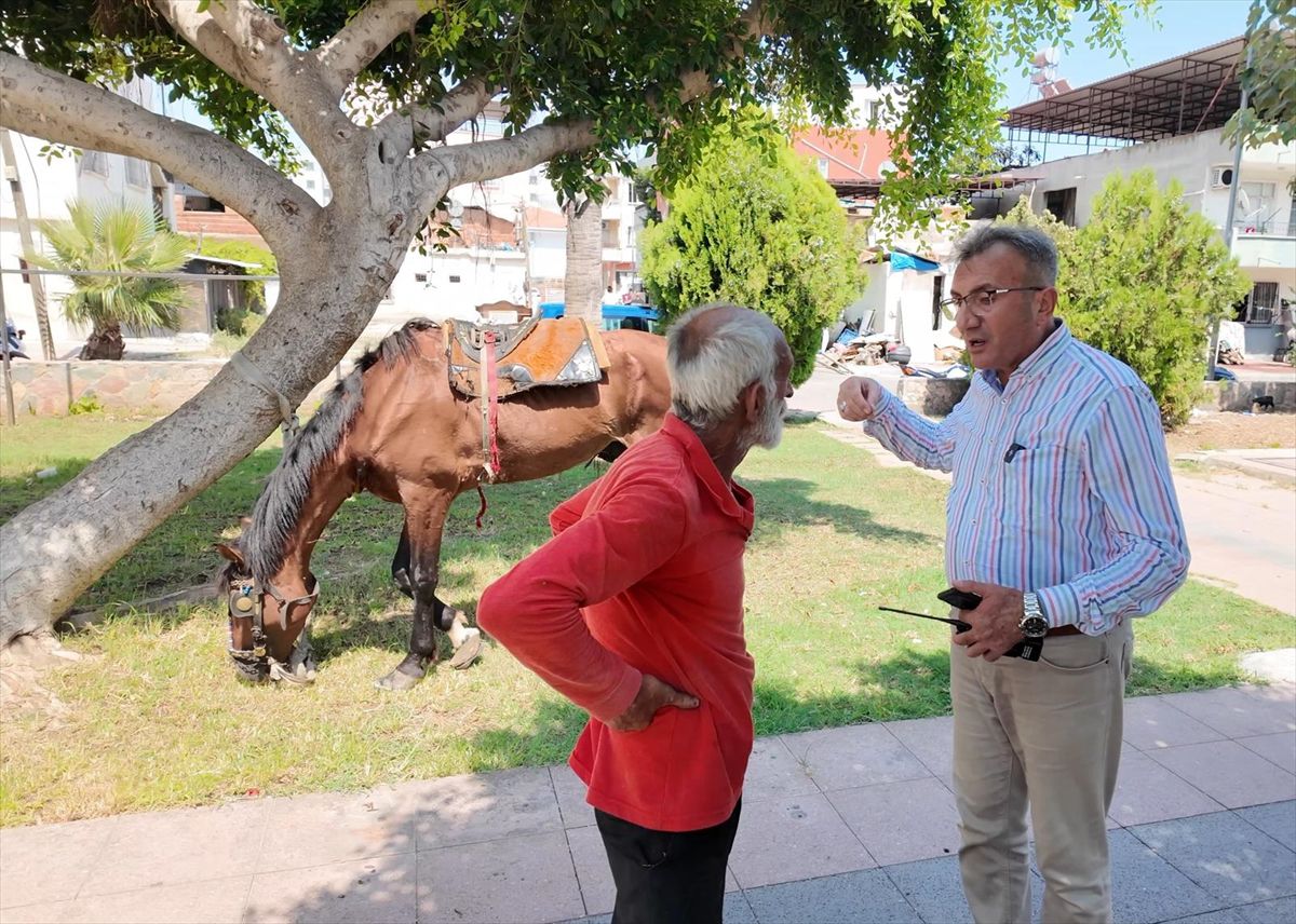 Mersin'de bitkin düşen at koruma altına alındı