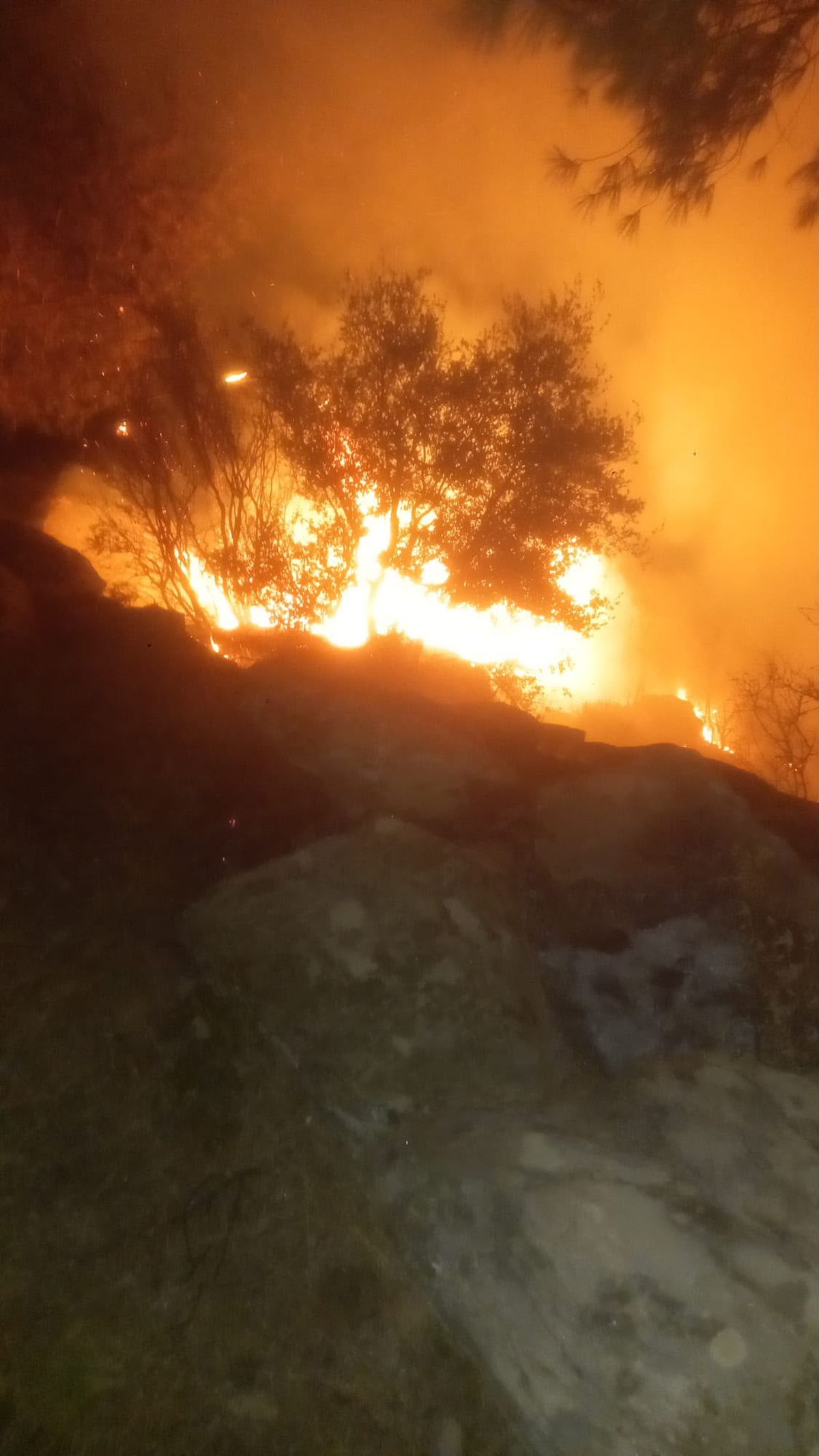 Yatağan'da gece orman yangını: Ekipler karadan müdahale ediyor