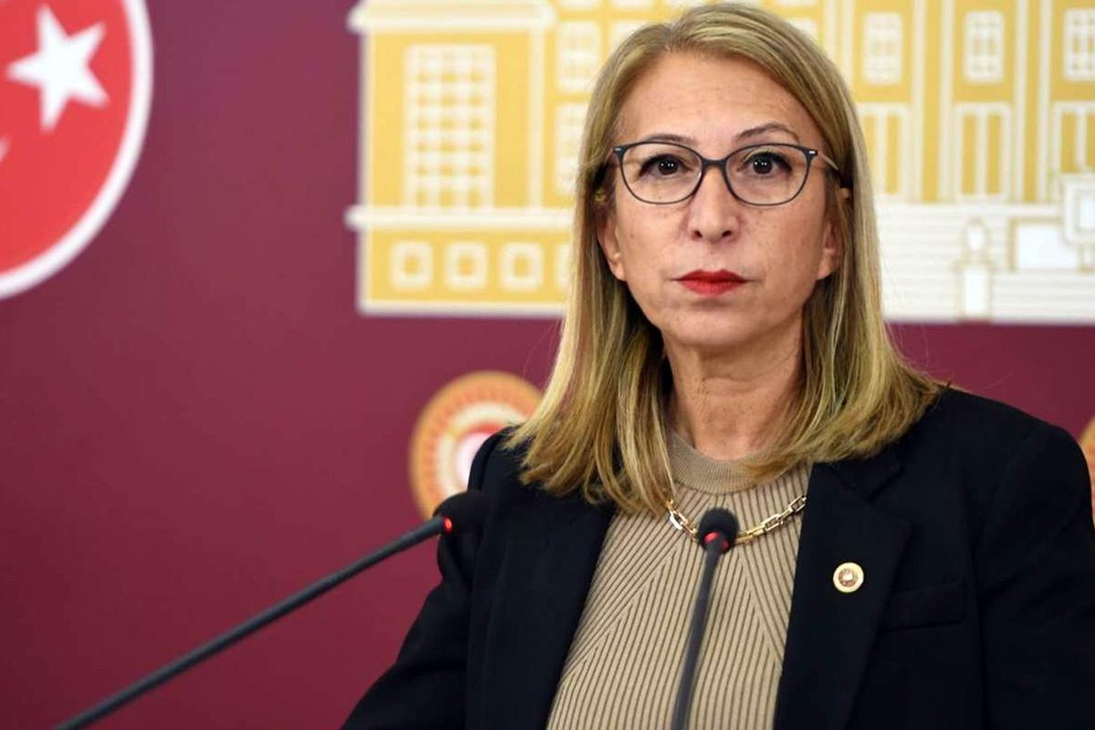 CHP Muğla Milletvekili Süreyya Öneş Derici