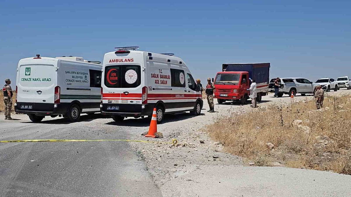 Şanlıurfa'da kamyonette ölü bulundu