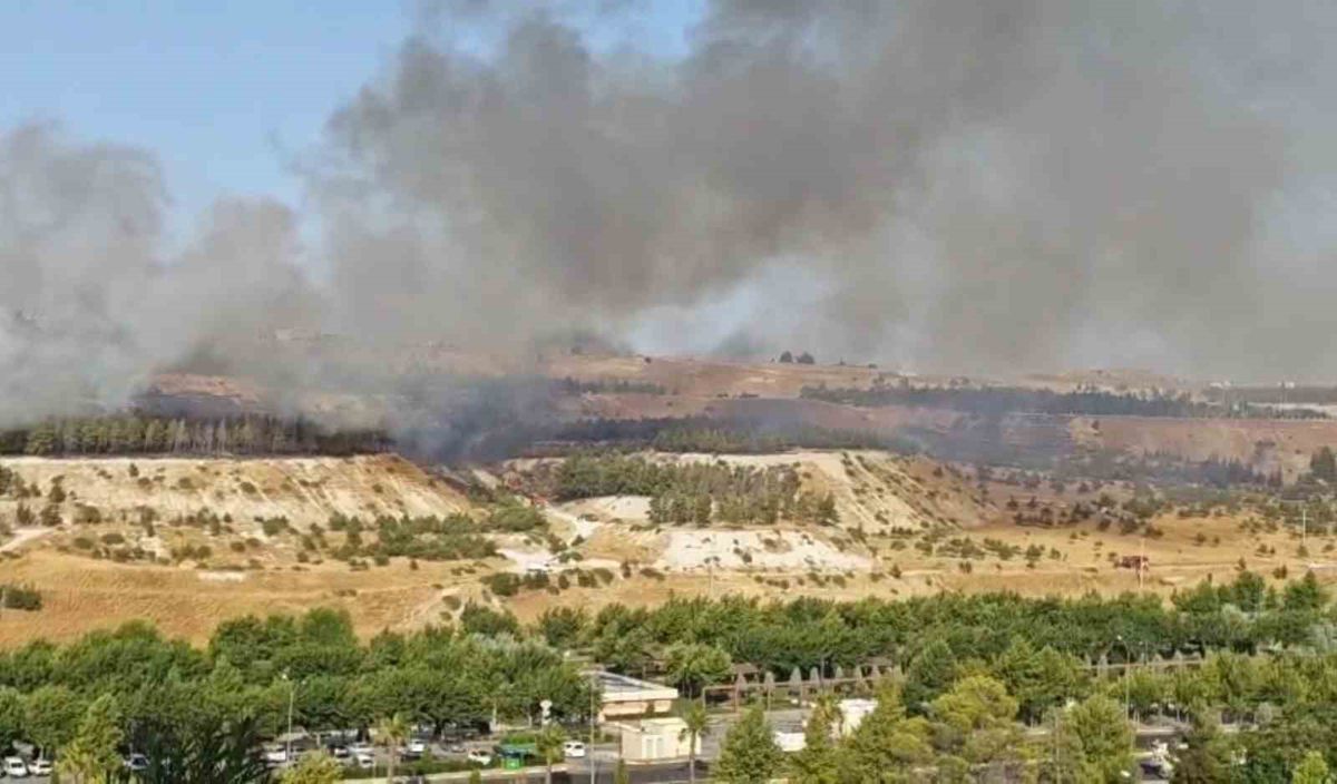 Şanlıurfa'da orman yangını kontrol altında