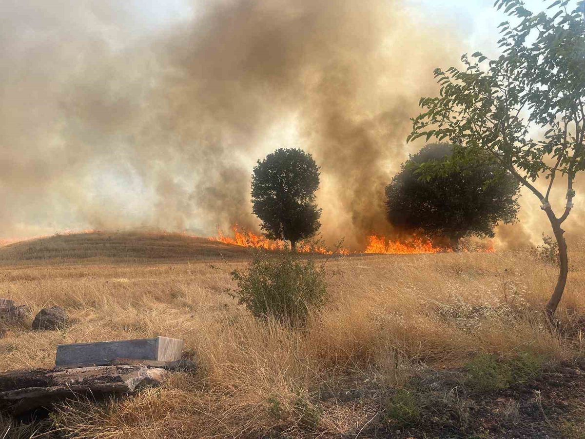 Adıyaman'da Trafo Patlaması: 1 Hektarlık Ağaçlık Alan Küle Döndü