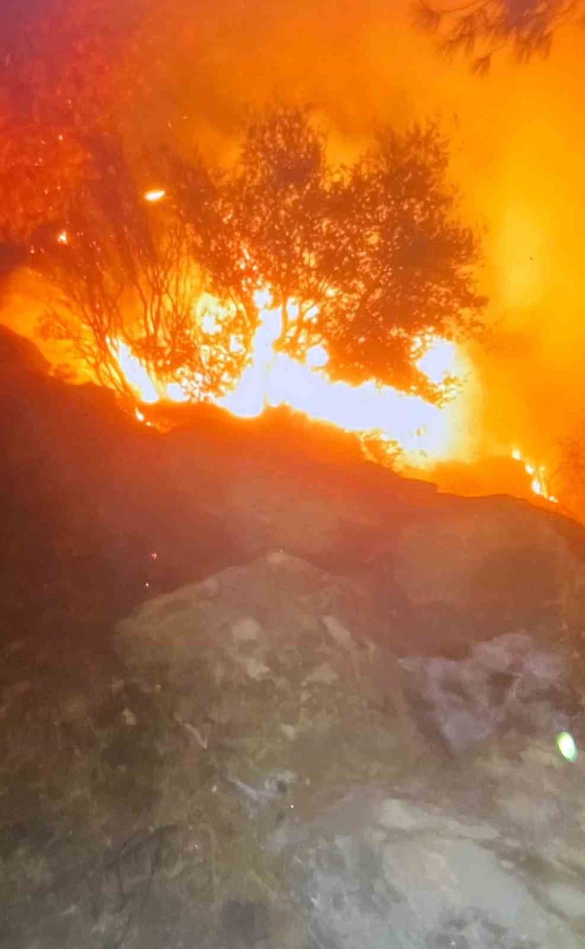Muğla'nın Yatağan ilçesinde orman yangını