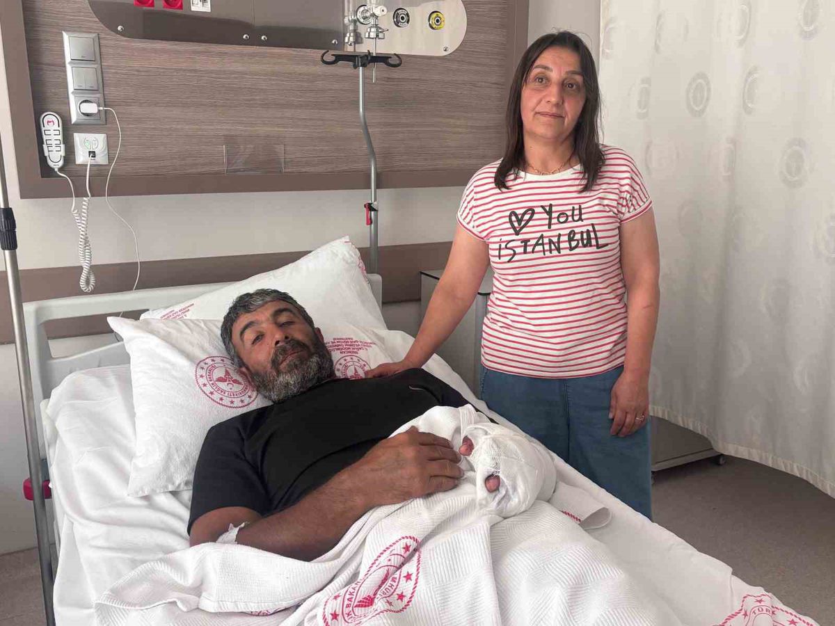Ayı saldırısından yaralı kurtulan çiftçi yaşadıklarını anlattı: 'Kürek olmasaydı sonum ne olurdu bilemedim'