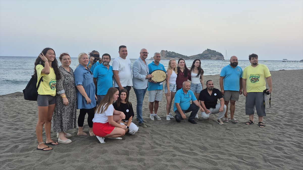 Dalyan ve Sarıgerme'de 6 bin caretta caretta yavrusu denizle buluştu