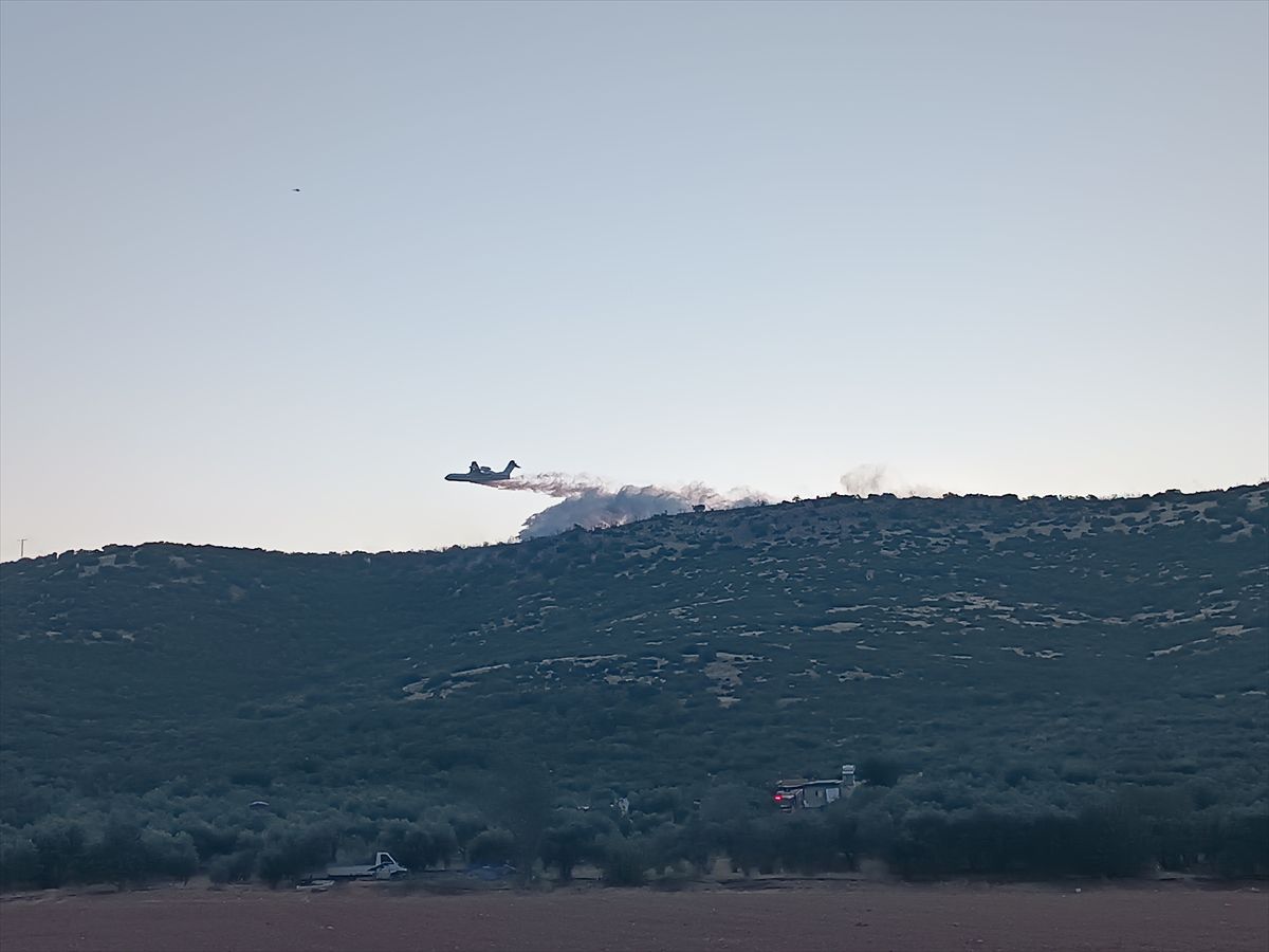 İzmir'de çıkan orman yangınına havadan ve karadan müdahale ediliyor