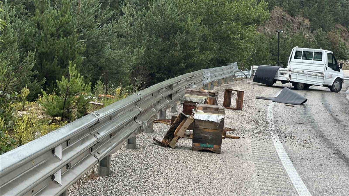 Kastamonu’da kamyonet bariyerlere çarptı: Etrafa saçılan kovandaki arılar telef oldu
