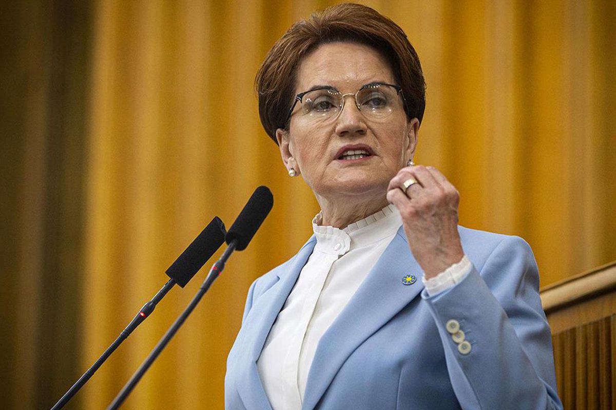 Meral Akşener'in kurduğu vakfın logosu veya ana binası.