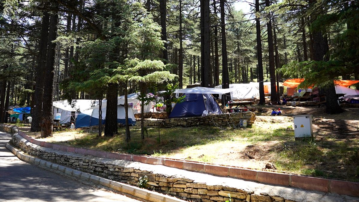 Mikrokliması ve mavi sedir ormanlarıyla Kızıldağ ziyaretçilerini ağırlıyor
