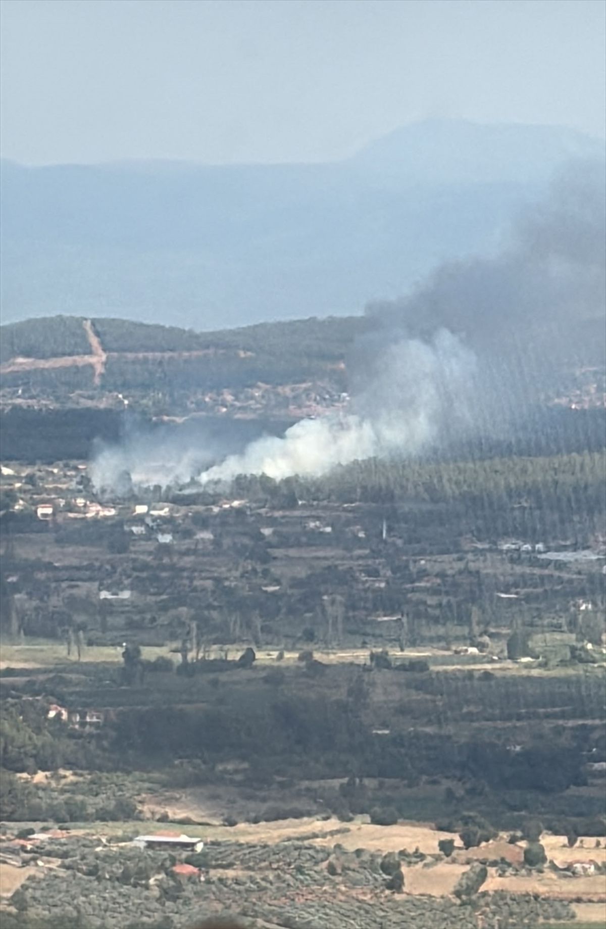 Muğla'da çıkan orman yangınına müdahale ediliyor