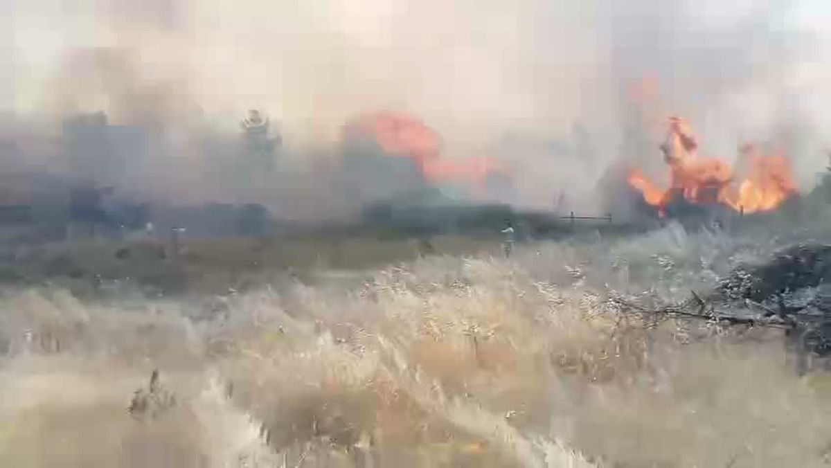 Muğla’da orman yangını