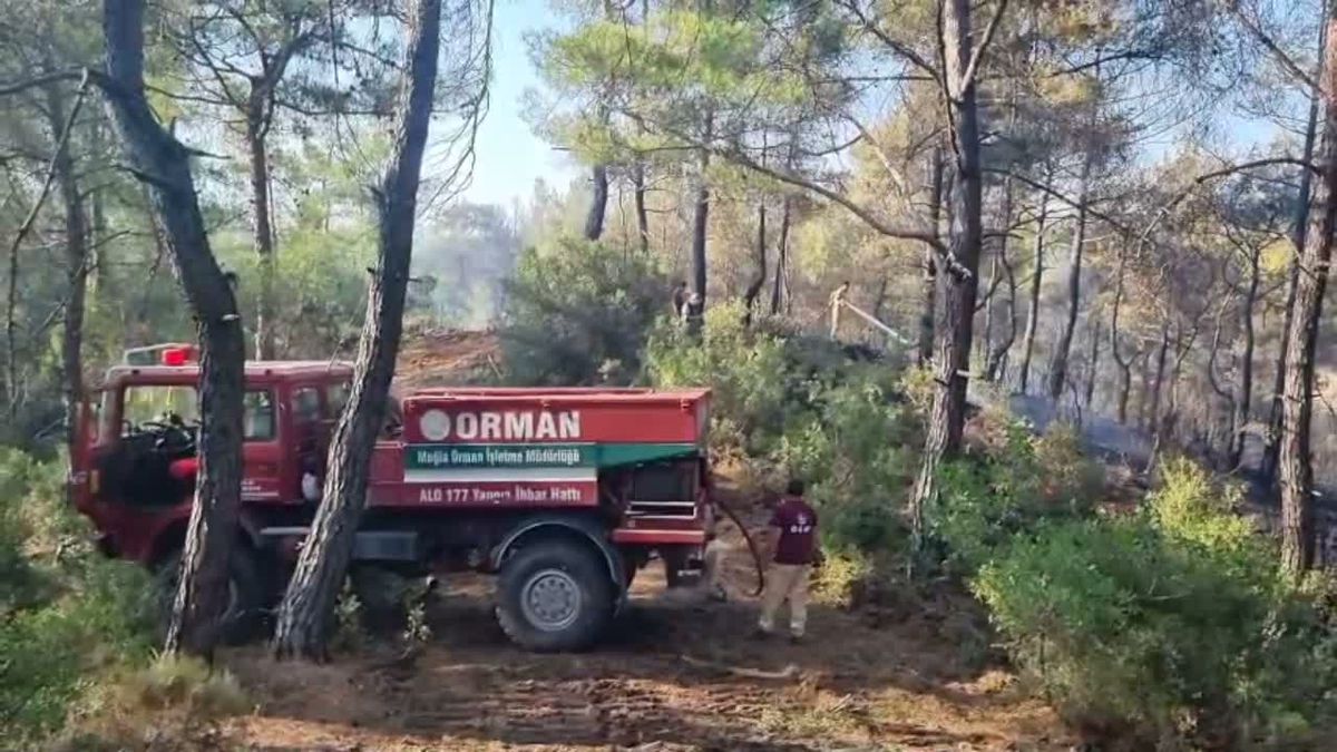 Muğla'nın Menteşe ilçesinde çıkan ve ormanlık alana yayılan yangın söndürme çalışmaları.