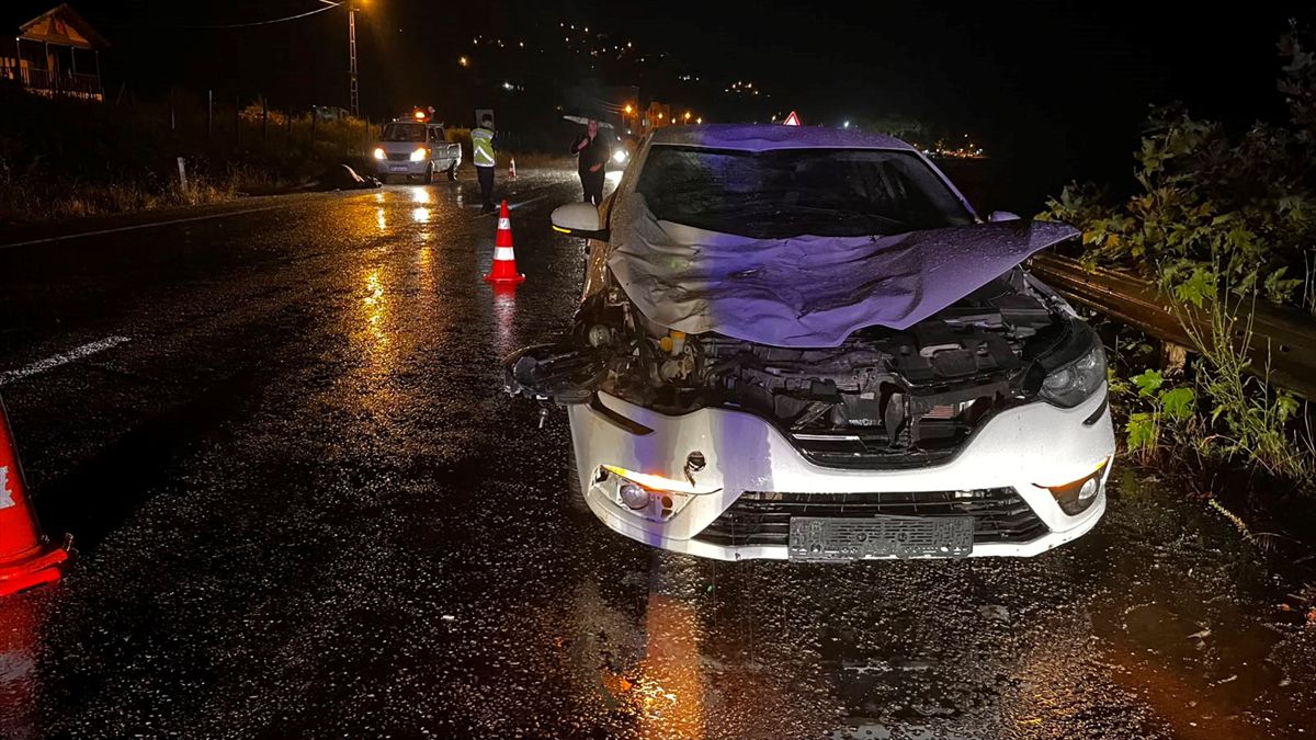 Sinop'ta büyükbaş hayvana çarpan otomobildeki 1 kişi yaralandı