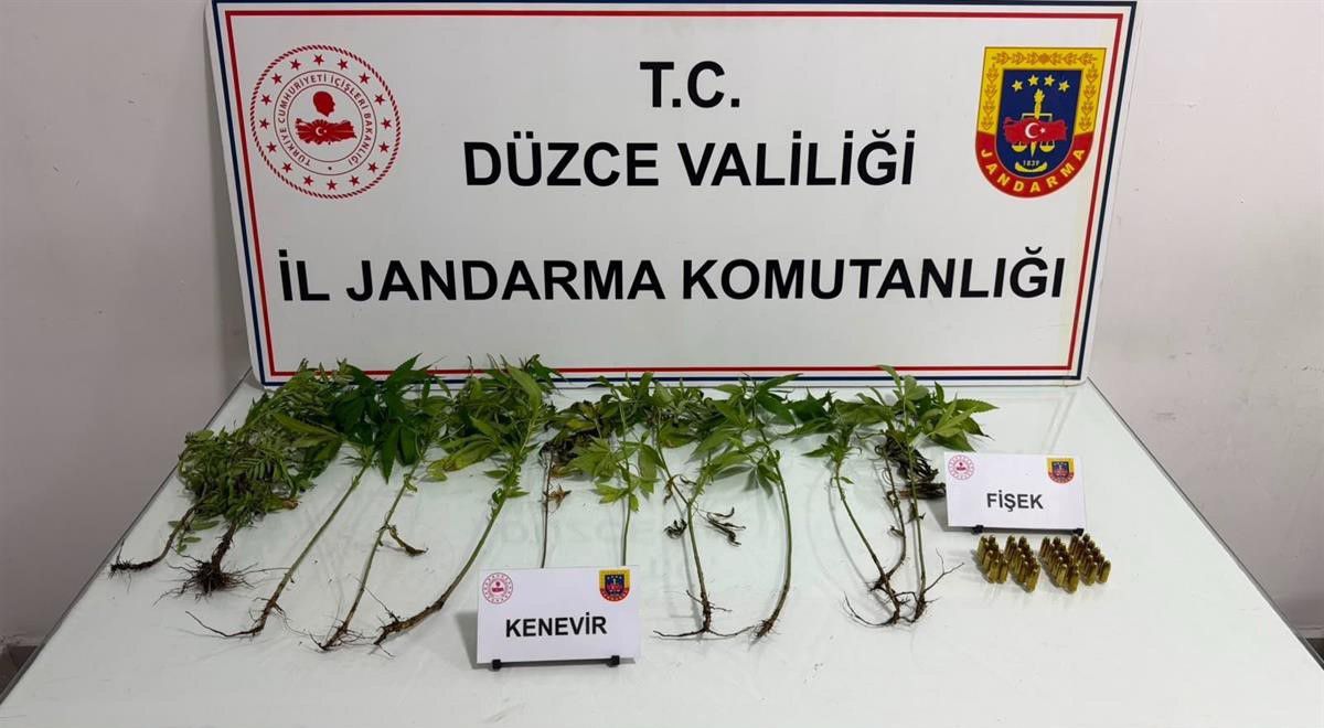 Düzce’de jandarmadan uyuşturucu operasyonu