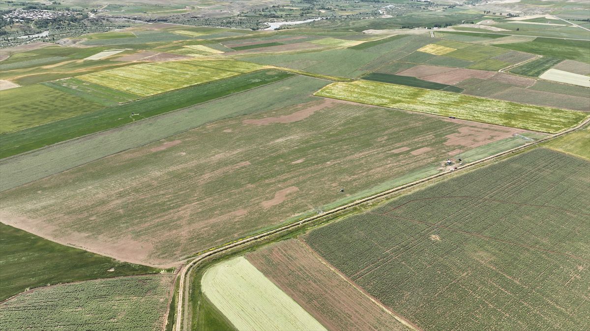 Erzincan'da alternatif ürünlerle tarımsal üretim çeşitleniyor
