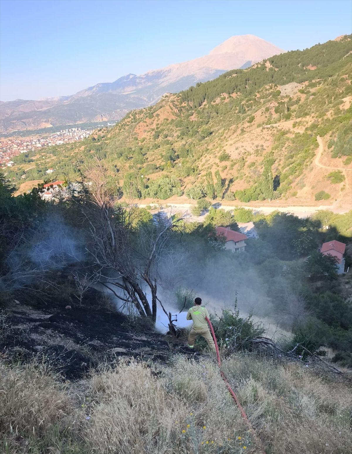 Isparta'da orman yangını söndürüldü, bal kovanları zarar gördü