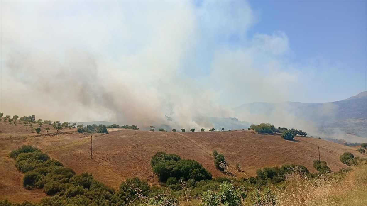 İzmir Kiraz'da tarım arazisinde çıkan yangına müdahale ediliyor.