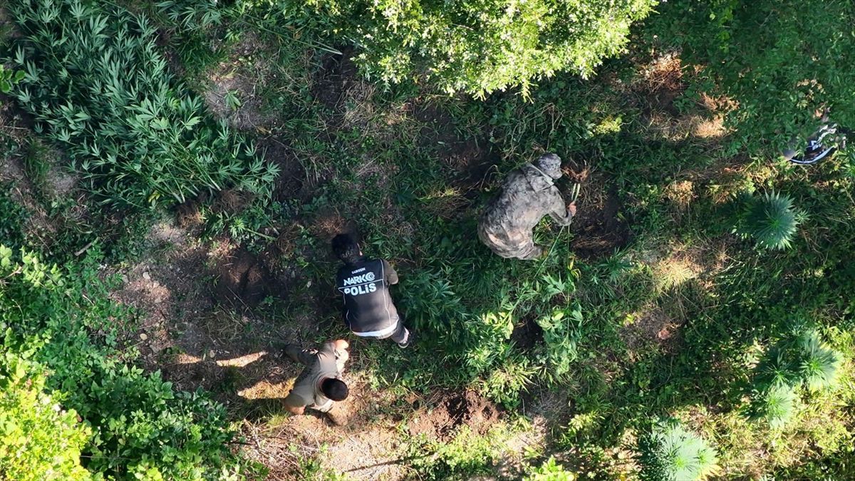 Samsun'da uyuşturucu operasyonu sonrası adliyeye sevk edilen şüpheliler.