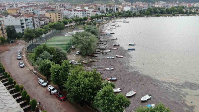 selin surukledigi odunlar denizi kapladi 2 20089315 o