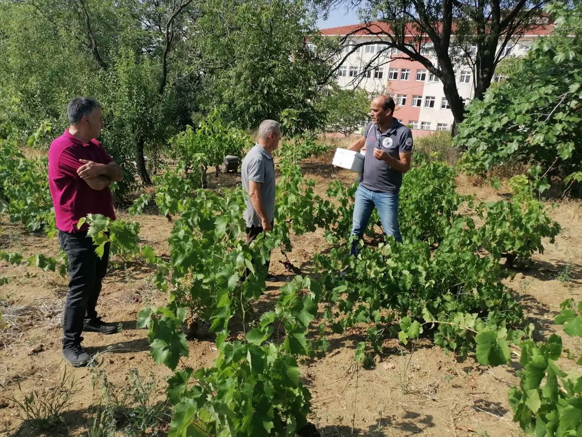 Tekirdağ'dan kısa kısa