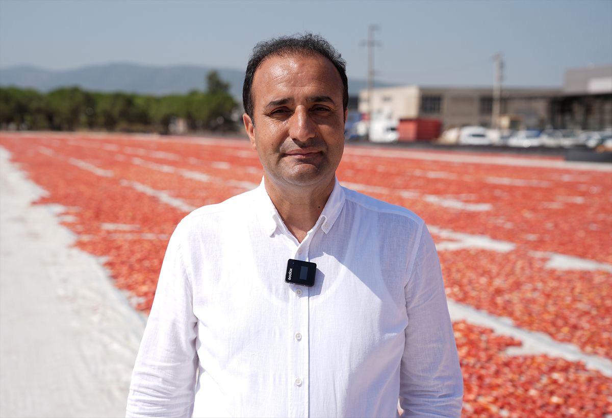Türkiye ilk yarıda kurutulmuş domatesten 60 milyon 989 bin dolar kazandı