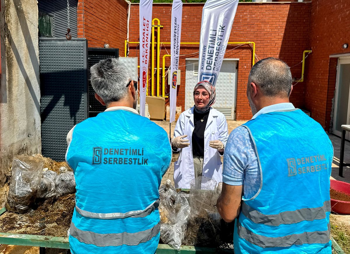 Yükümlüler 'Gelecek Doğada Projesi' ile mantar yetiştiriciliğini öğreniyor