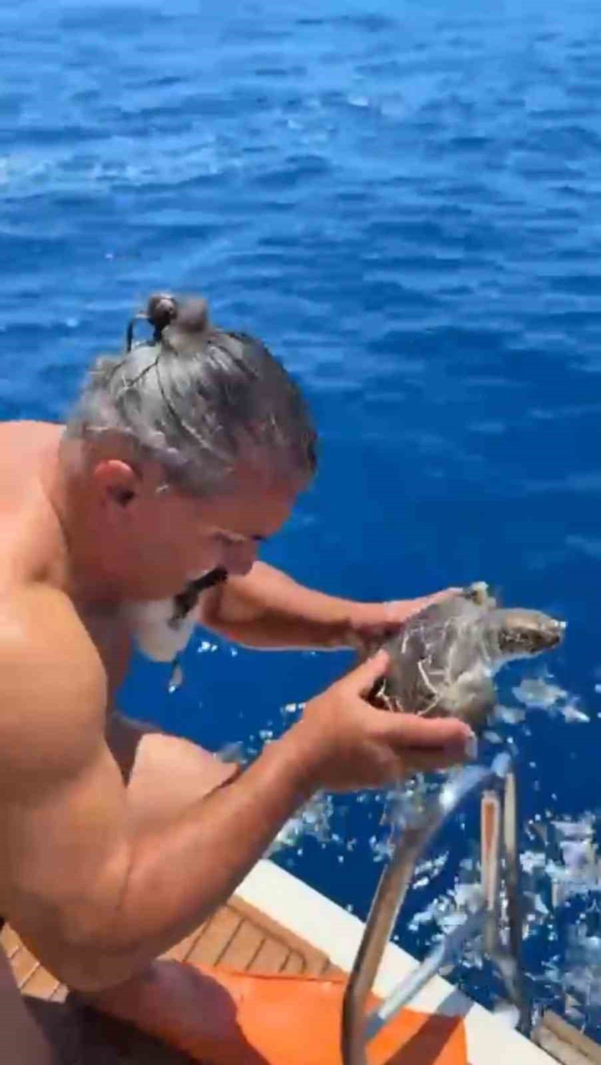Alanya'da çuvala dolanan caretta caretta kurtarıldı