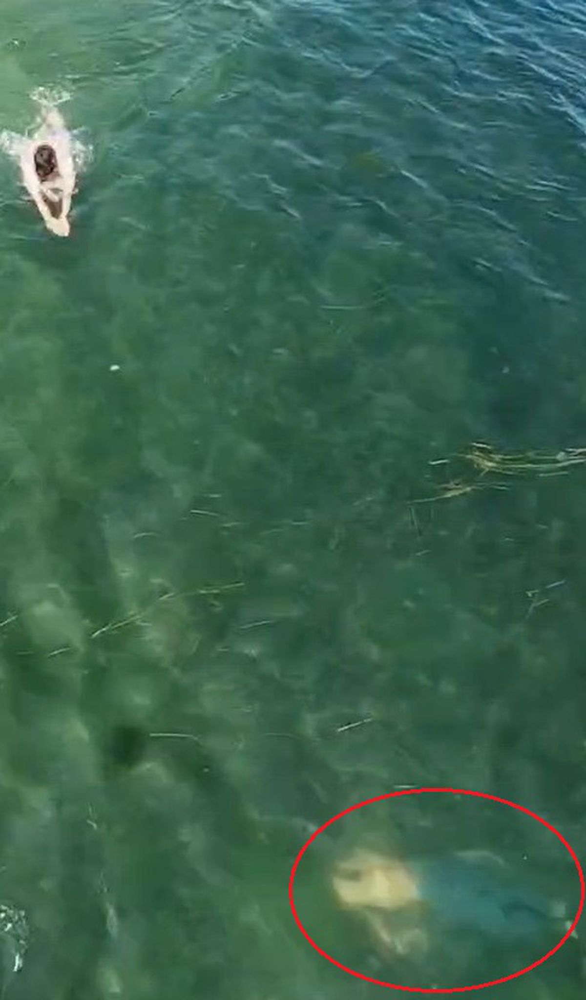 Dron ile boğulma tehlikesi geçiren kişi tespit edildi