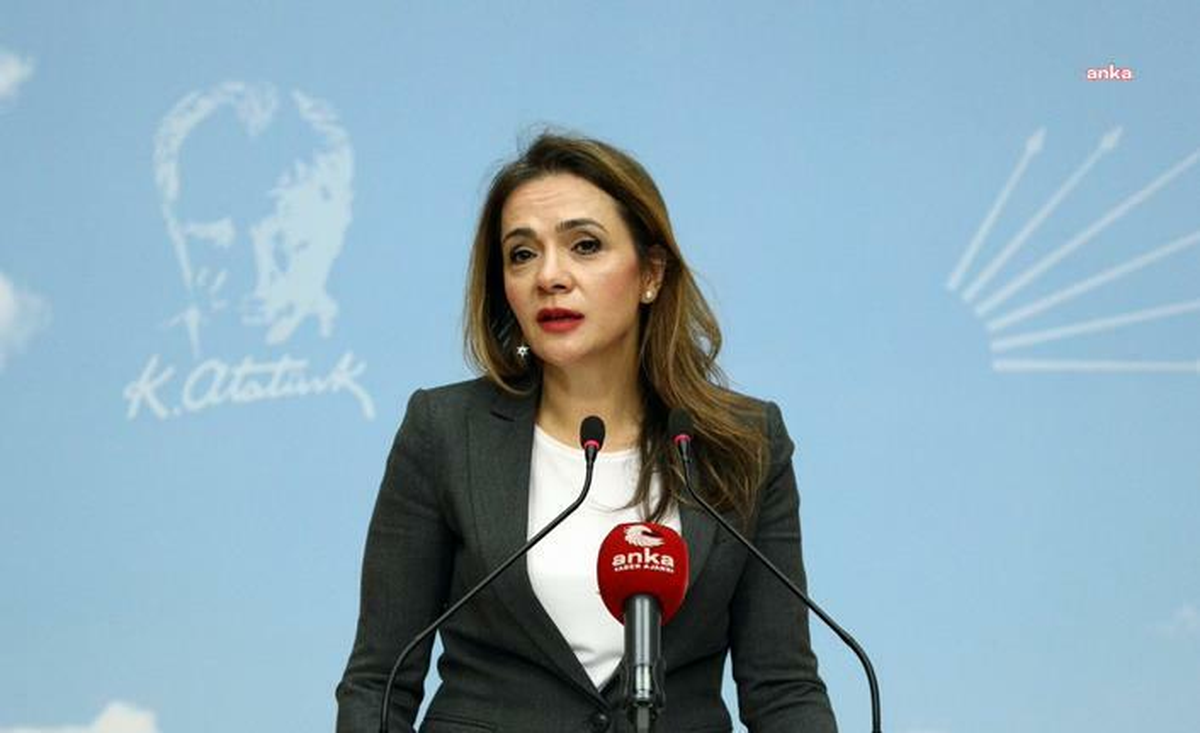CHP'li İlgezdi: Gençlerin Dörtte Biri Sistemin Dışında