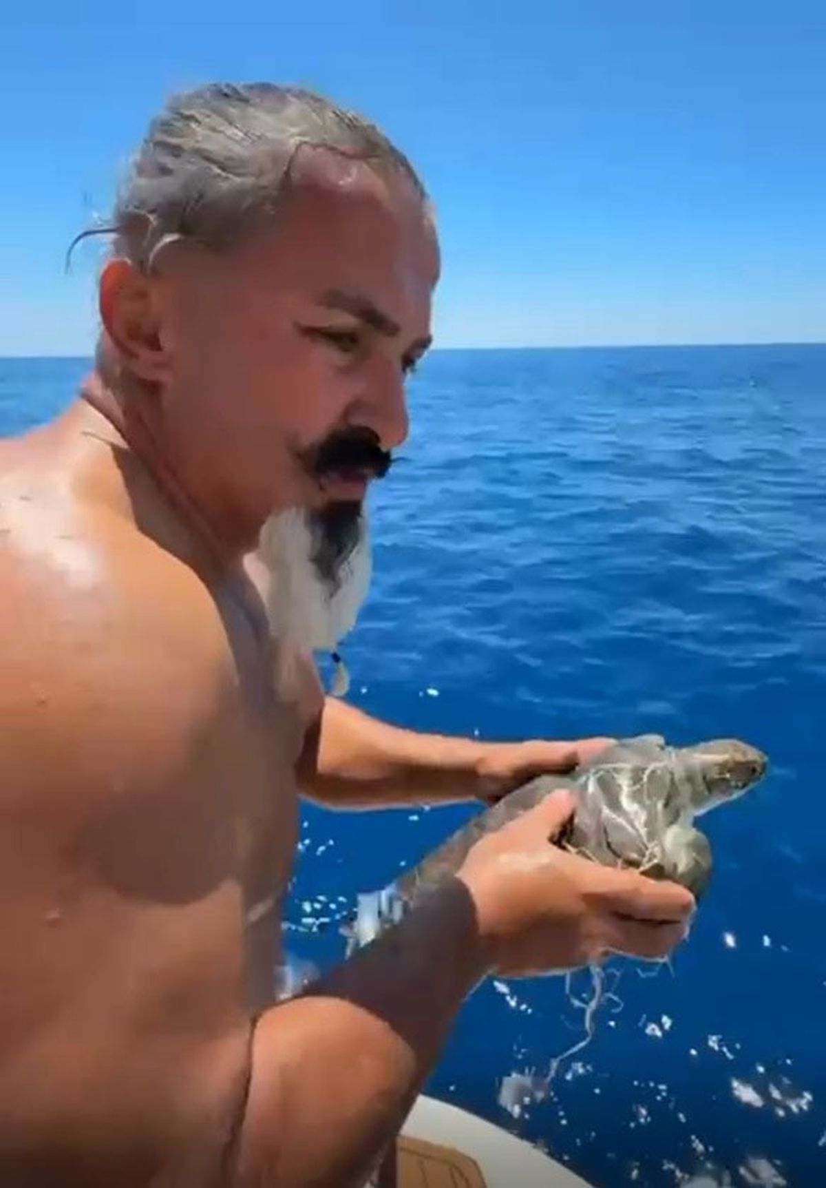 Alanya'da Çuvala Dolanan Deniz Kaplumbağası Kurtarıldı