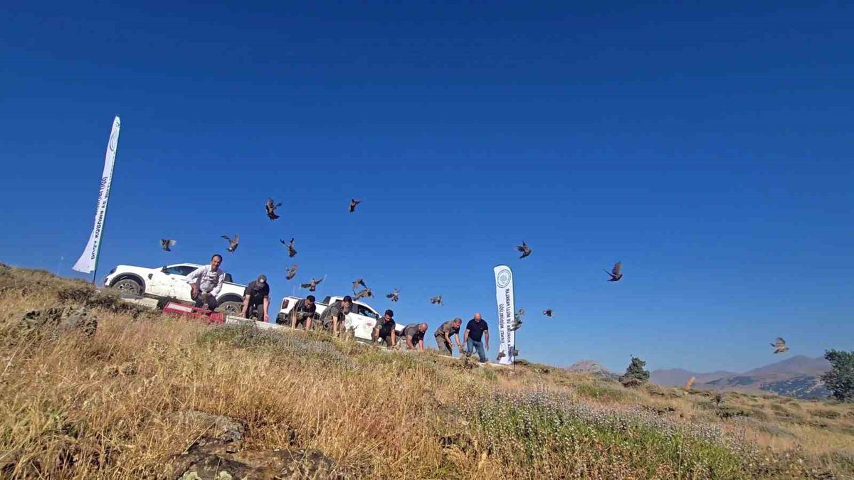 Diyarbakır'da keneye karşı kınalı keklik salımı