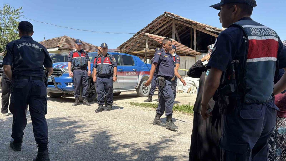 Düzce'de arazi anlaşmazlığı sonucu işlenen cinayetle ilgili jandarma ekiplerinin olay yerindeki incelemesi.