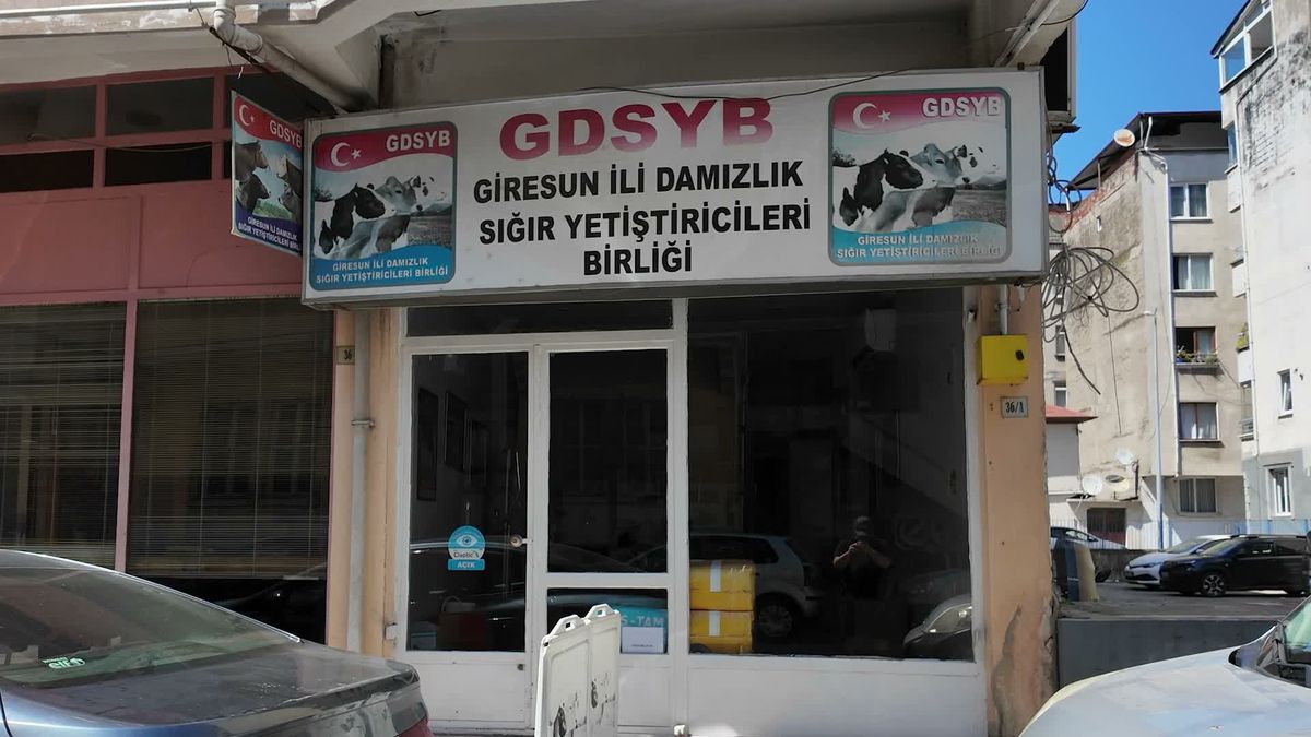 Giresun Süt Üreticileri Birliği'nde skandal: Eski yöneticilere suç duyurusu, son kullanma tarihi geçmiş ilaç ele geçirildi