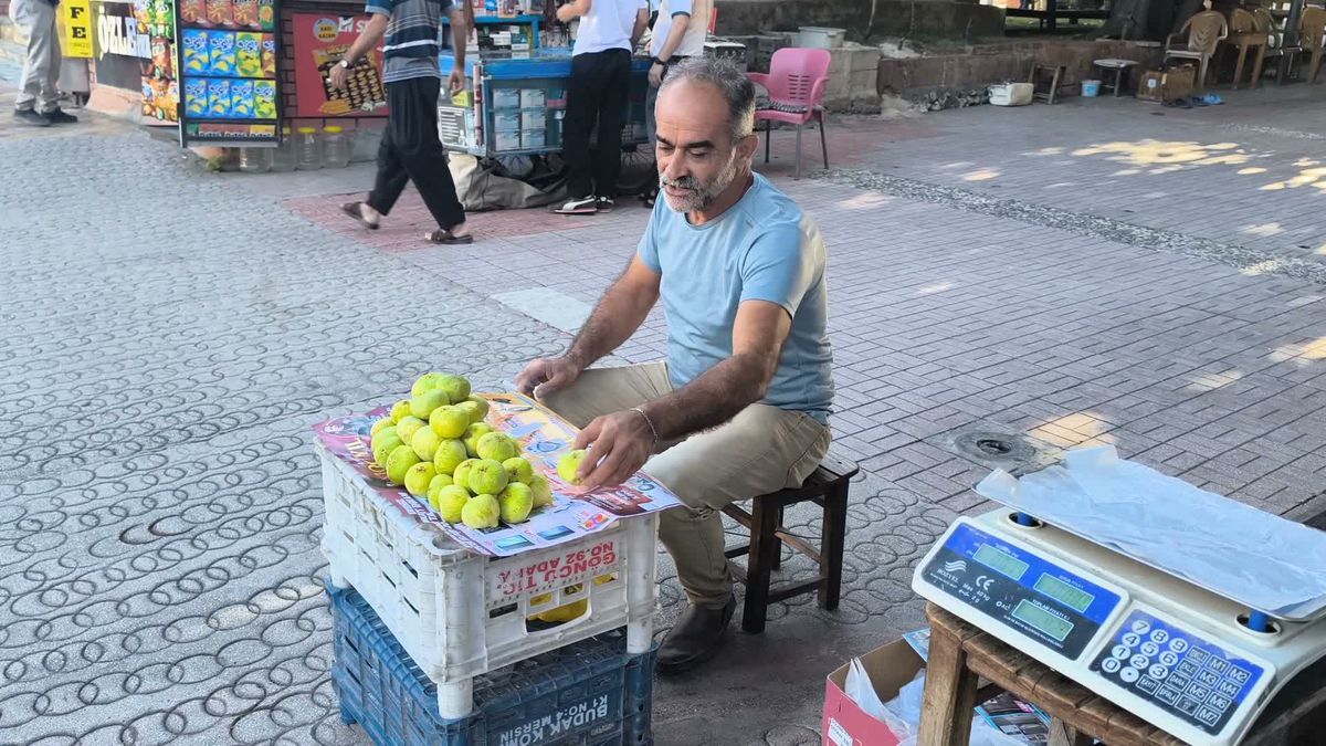 300 liralık incir isyanı: ‘Alamam, yemem’