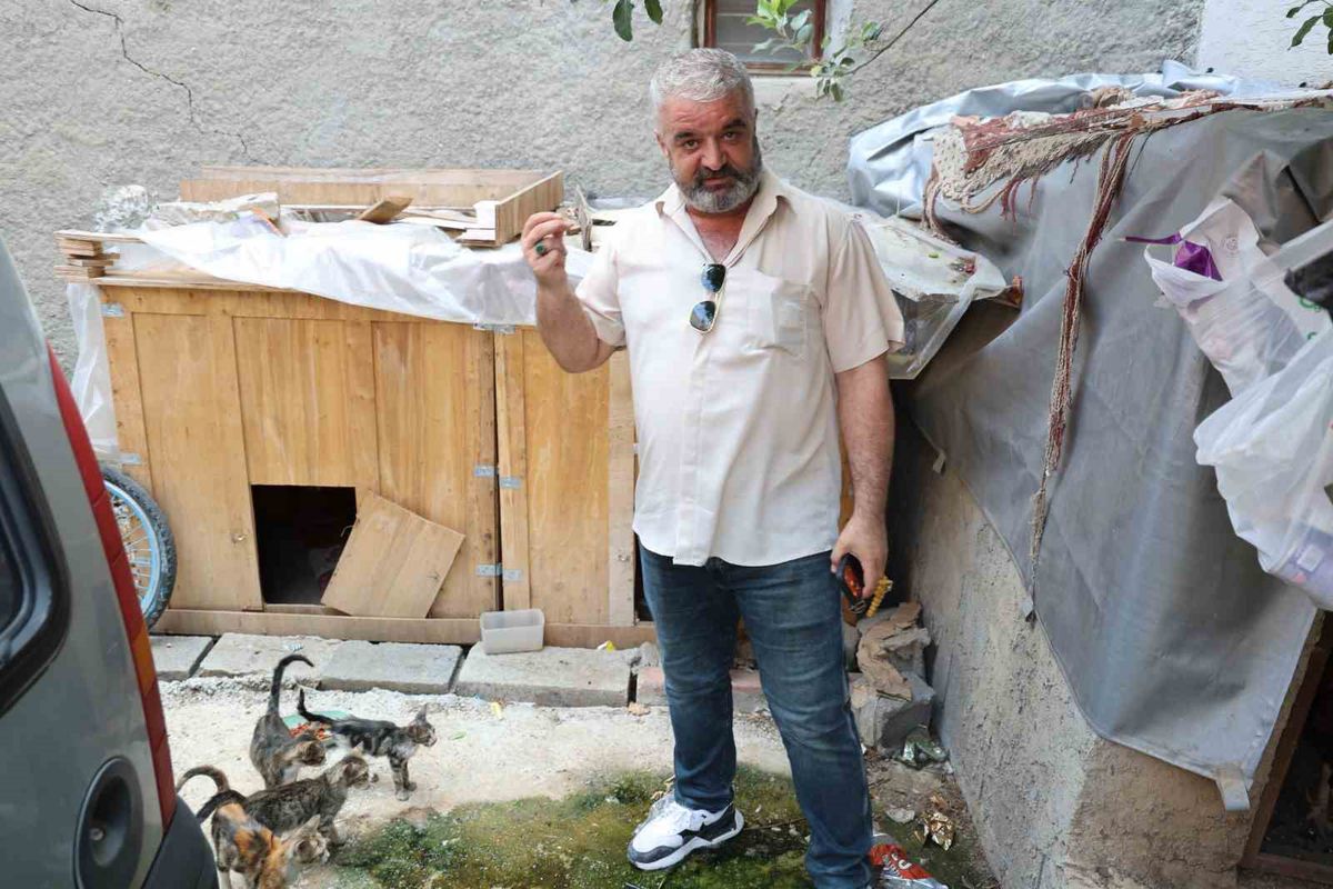 Adana'da bisikletli hırsızdan kedi maması çalma anı kamerada