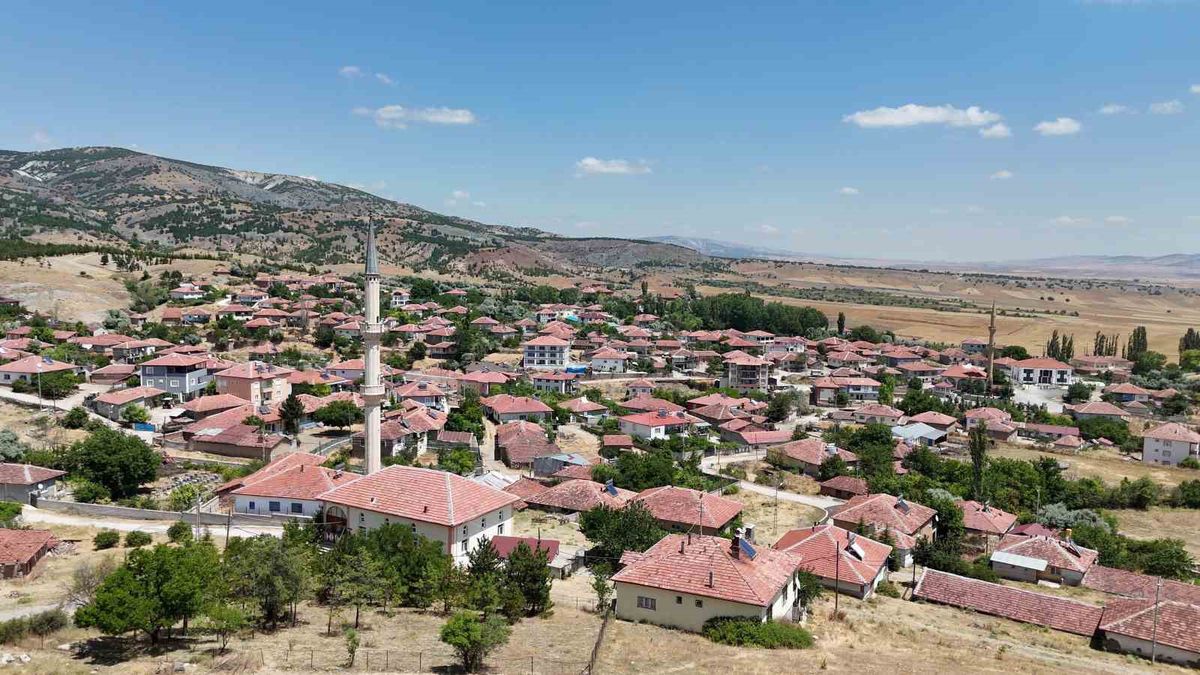 Yozgat'ın Kadışehri ilçesindeki Kabalı köyünde meyve ağaçları ve tarım alanları.
