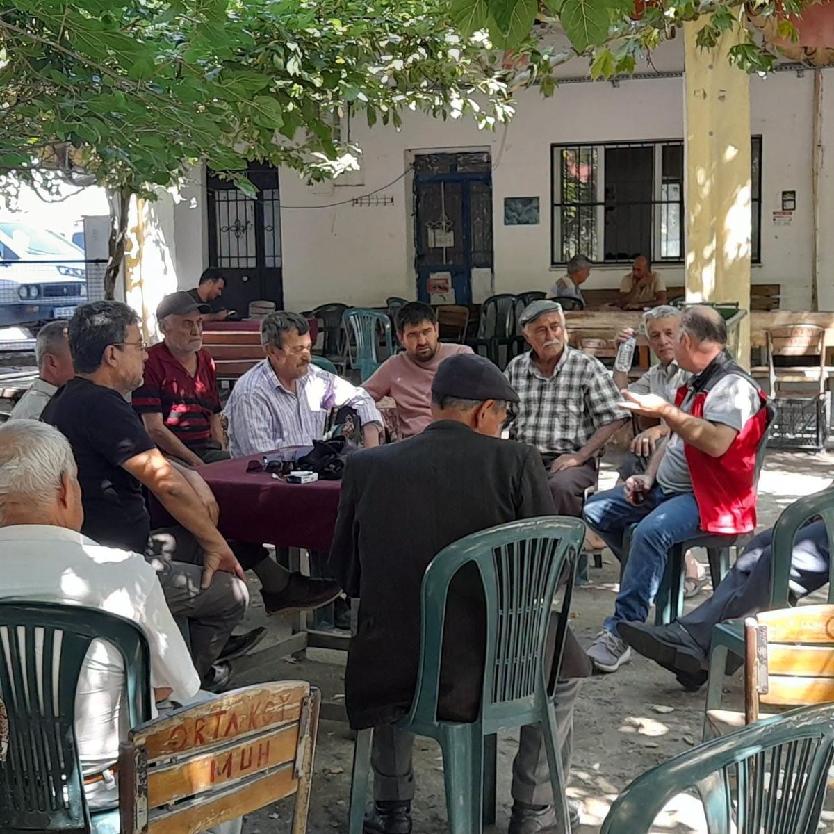 Muğla ve Milas'ta tarla fareleriyle mücadele çalışmaları kapsamında çiftçilere zehirli yem dağıtılıyor.