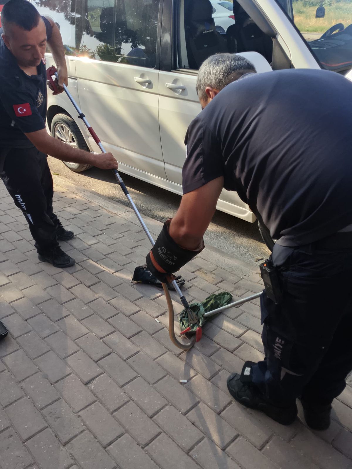 İnegöl'de Park Halindeki Minibüsün Motoruna Giren Yılan İtfaiye Tarafından Kurtarıldı