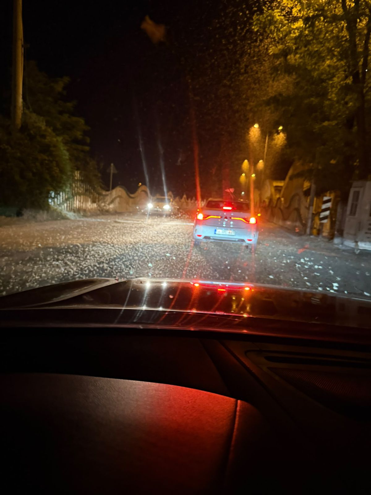 Sakarya'da milyonlarca söğüt kelebeğinin eski köprü ışıkları etrafında toplandığı ve öldüğü manzara.