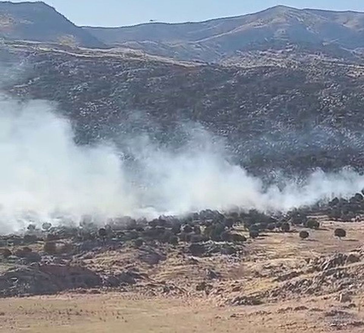 Adıyaman'da orman yangını alevleri