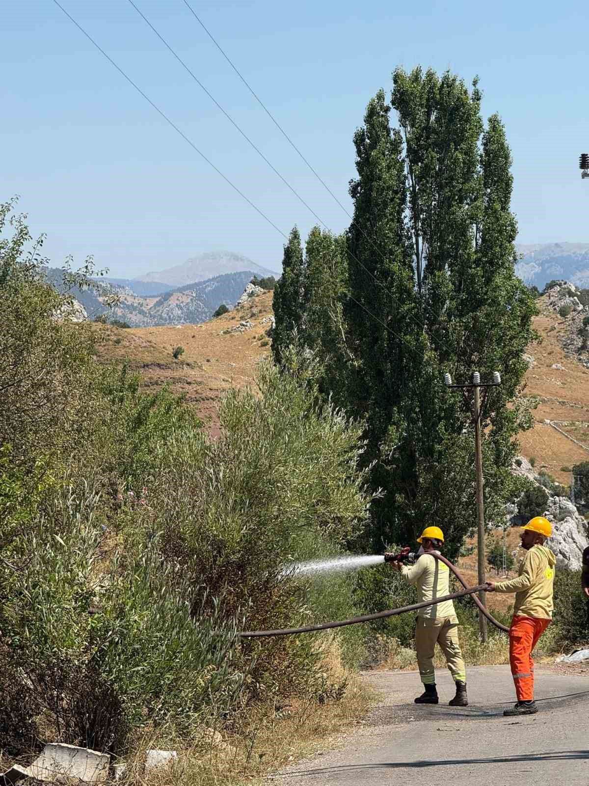 Alanya'da otluk yangını kontrol altında