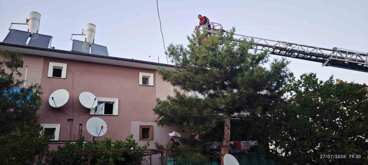 Erzincan'da çatıda mahsur kalan kedi itfaiye tarafından kurtarıldı