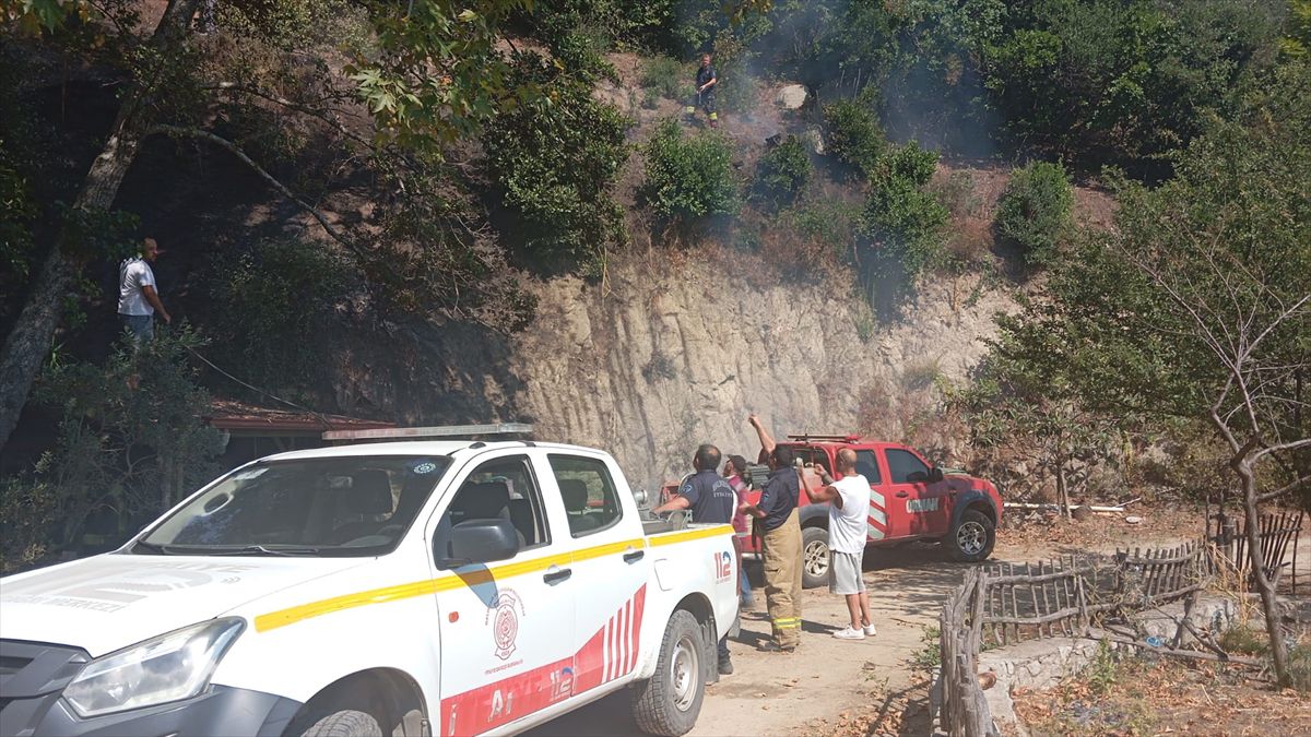 Balıkesir'de 7 ayrı arazide çıkan yangınlar söndürüldü