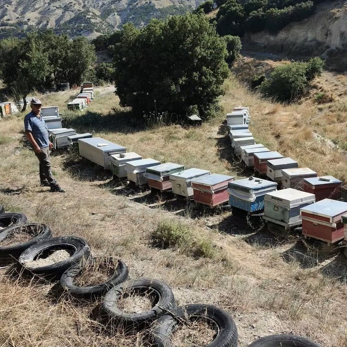 Burdur'da Arıcılık Desteklemeleri İçin Arılı Kovan Tespit Çalışmaları Sürüyor