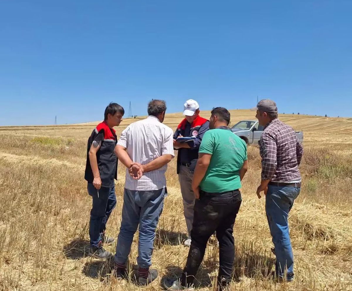 Burdur'da bir tarlada biçerdöver ile hububat hasadı yapılırken denetim yapan görevliler.