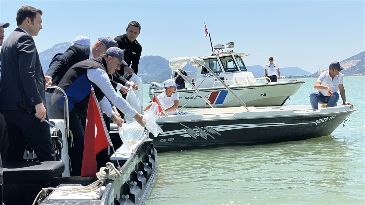 100 bin yavru sazan Eğirdir Gölü'ne bırakıldı