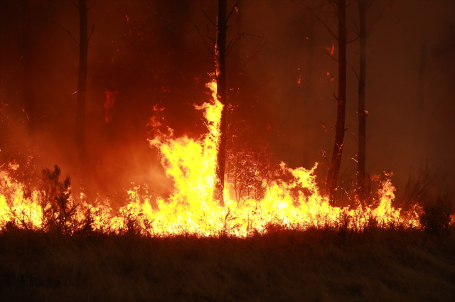 fransa orman yanginlariyla bog 20096201 5401 1 m