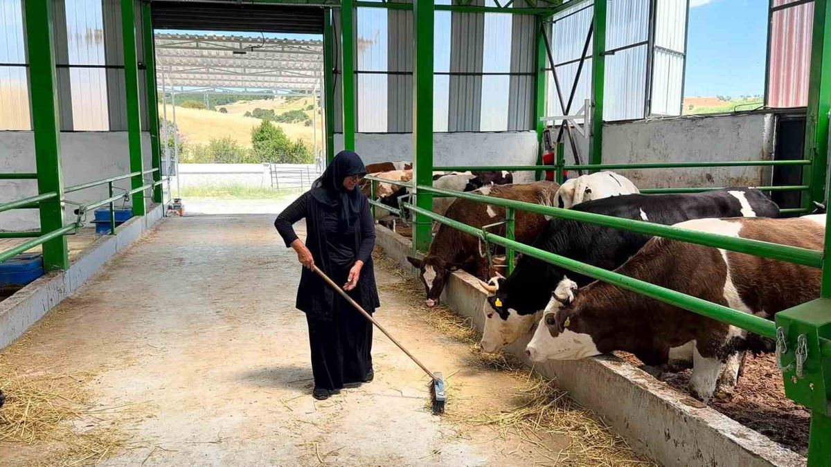 Gediz'de KKYDP 16. Etap Kapsamında Büyükbaş Besi İşletmesi Üretime Başladı