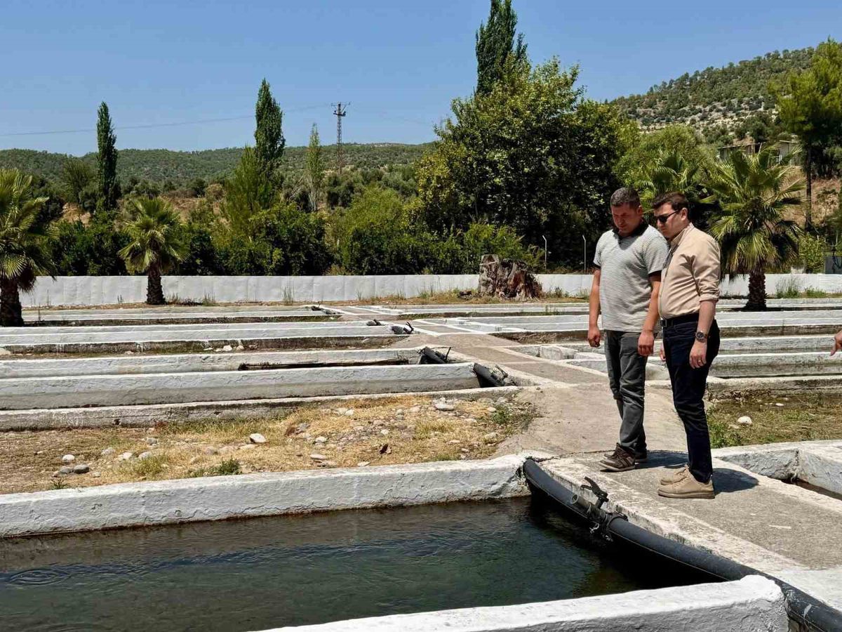 Bozdoğan Kaymakamı Sözen'den Kurum ve İşletme Ziyaretleri