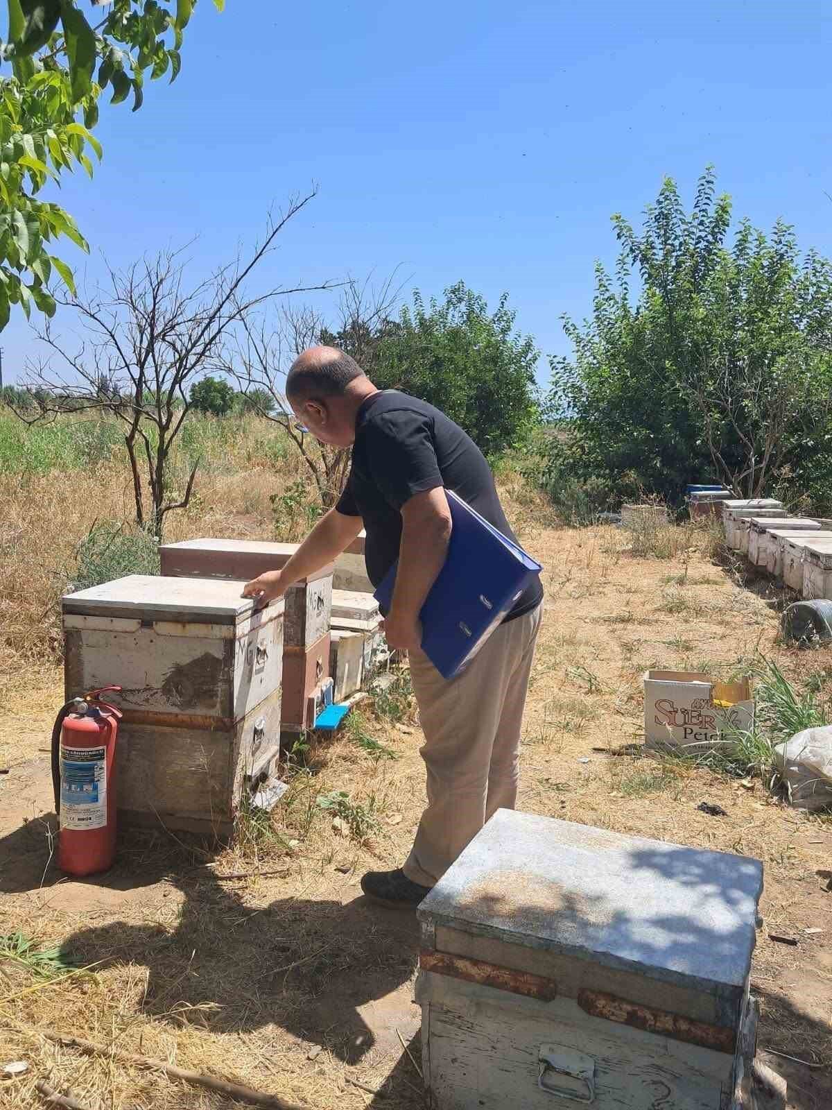 Köşk'te 2026 Arılı Kovan Desteklemesi İçin Tespit Çalışmaları Sürüyor